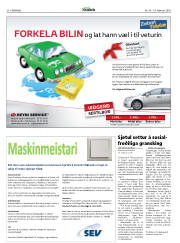 Síða 20