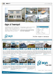 Síða 22