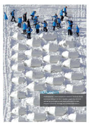 Síða 24