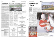 Síða 2