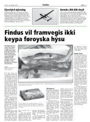 Síða 11
