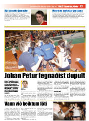 Síða 17