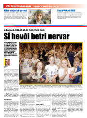 Síða 20