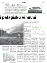 Síða 29