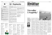 Síða 6
