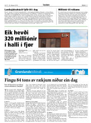 Síða 11