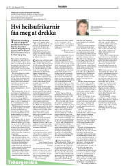 Síða 13