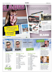 Síða 31
