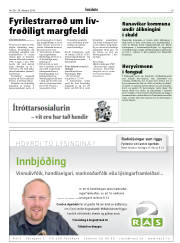 Síða 19