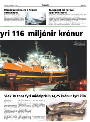 Síða 11