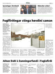 Síða 15