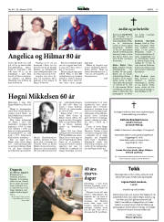 Síða 17