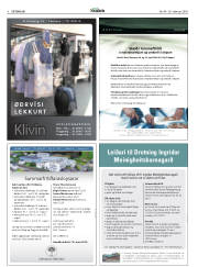 Síða 8