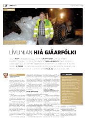 Síða 16