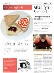 Síða 19