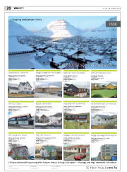 Síða 20