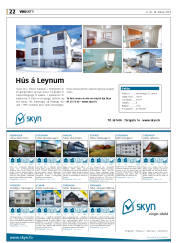 Síða 22