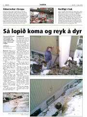 Síða 4