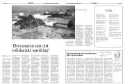Síða 22
