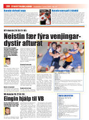 Síða 20
