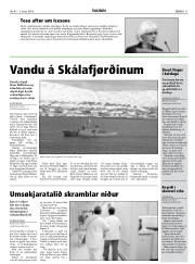 Síða 11