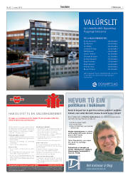 Síða 7