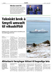 Síða 8