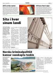 Síða 9
