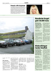 Síða 11