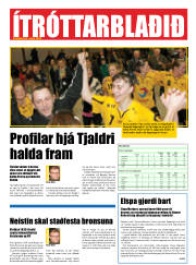 Síða 21