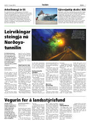 Síða 7