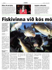 Síða 8