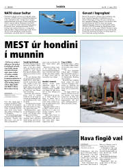 Síða 10