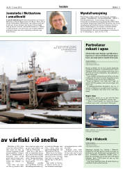 Síða 11