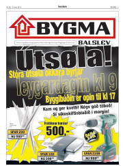 Síða 3