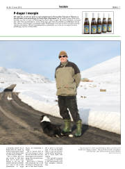 Síða 17