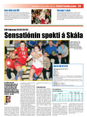Síða 23