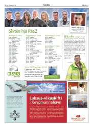 Síða 31