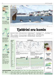 Síða 32