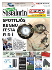 Síða 1