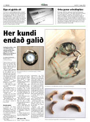 Síða 10