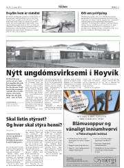 Síða 11
