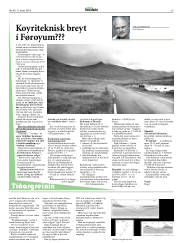 Síða 15