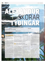 Síða 8
