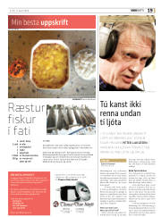 Síða 19