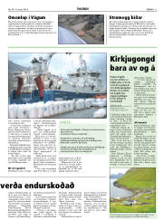 Síða 13