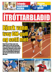 Síða 15