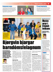 Síða 17