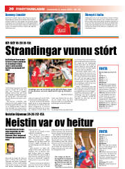Síða 20