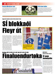 Síða 22